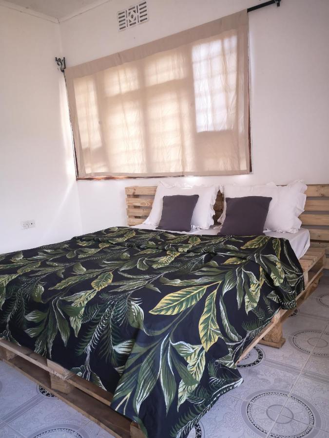 Bed and Breakfast Safari Adventures-House Аруша Экстерьер фото